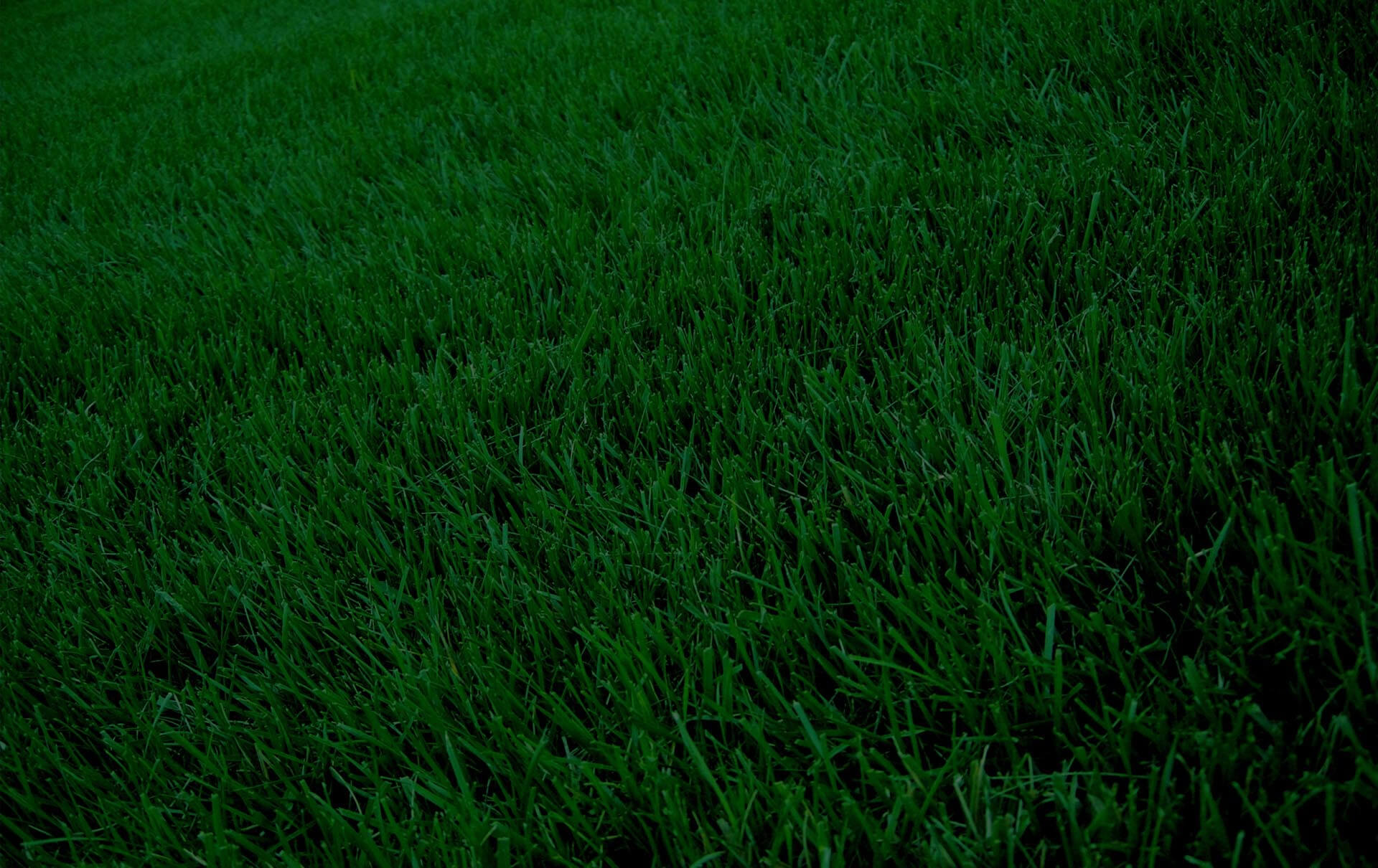 Pour des espaces plus verts